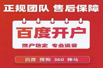 网络推广与竞价策略实战案例